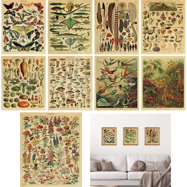 Ibenzoa Set van 9 Botanische Posters met Vlinders en Bloemen voor Educatief Wanddecor Kleurjik