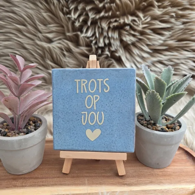 CreaCraft Robuust Wenstegeltje “Trots op Jou” – Lief Cadeautegeltje met Hartje – Trendy nu – Geslaagd – Vriend(in) – Familie – Gezin – Zomaar – Cadeau – Geslaagd – Decoratief Tegeltje met Standaard – Cadeau Idee robuust lichtblauw/beige