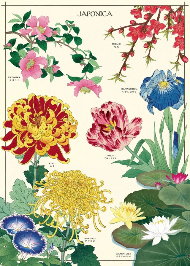 Cavallini & Co Poster Japonica - Cavallini & Co - Vintage schoolplaat - Posters Multi Color