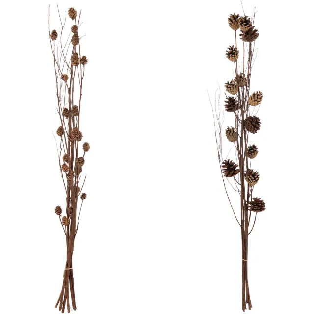 J-Line decoratie tak Denappel Droogbloemen - riet - donkerbruin - 2 stuks