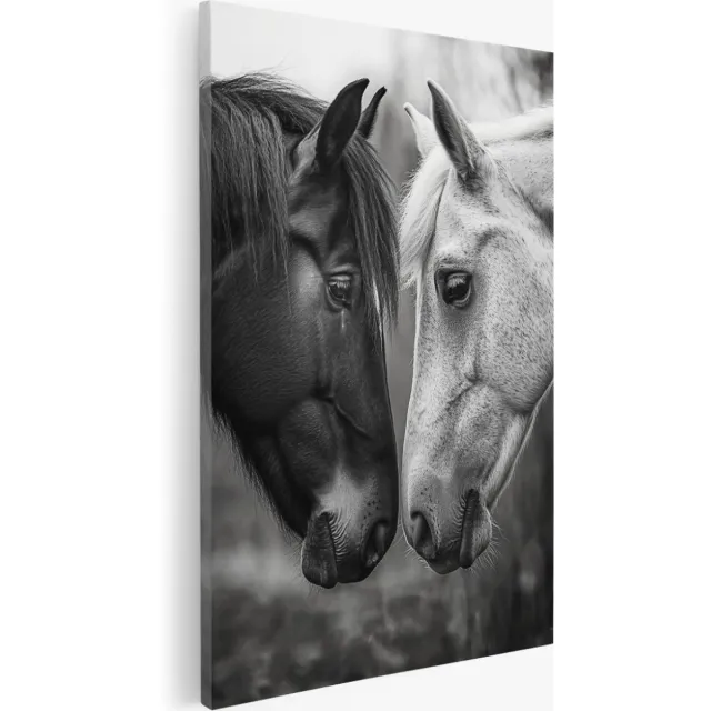 Saammp Canvas Schilderij - Paarden - Liefdevol - Nederland - Dieren - Natuur - 40x50 - Foto op canvas - Wanddecoratie - Muurdecoratie Woonkamer - Slaapkamer decoratie - Canvas Print Multicolor