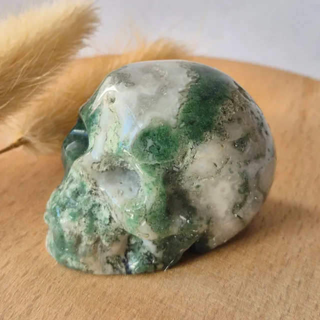 Moonlight Gemstones Mosagaat Skull Carving #1 | 5–6 cm Geslepen Edelsteen Meerkleurig