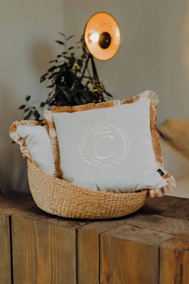 Sandra Mika Embroidered pillow / personalised pillow / monogram pillow / decorative cushion 40x 40 beige velvet letter C