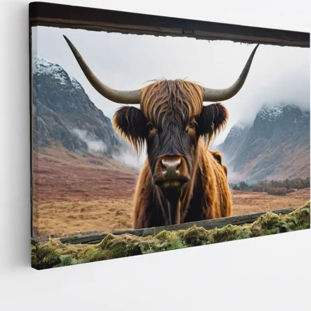 Saammp Canvas Schilderij - Glurende hooglander Koe - Doorkijk - Dieren - 70x50 - Foto op canvas - Wanddecoratie - Muurdecoratie Woonkamer - Slaapkamer decoratie - Canvas Print Multicolor