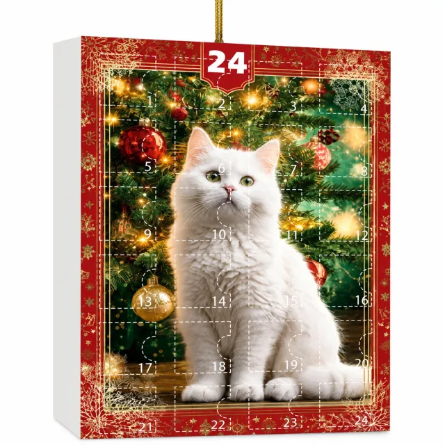 SWGOTA Kattenadventskalender voor kerst met 24 genummerde vakjes en platte kattenhangers met ophangkoord, in papieren doos Zwart