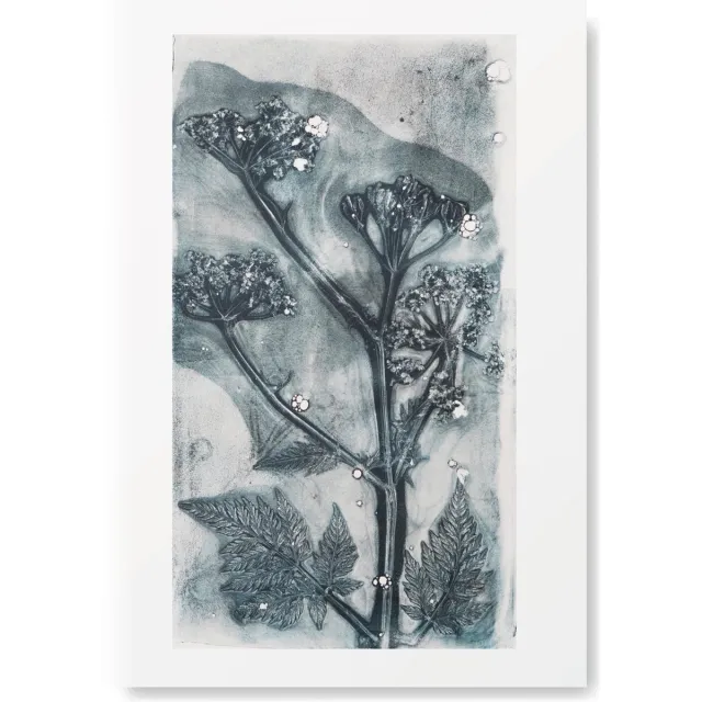 Natuurlijk Angelart Botanische Kunst Poster - Fluitekruid -A4 Formaat - Kunst aan de muur - Wanddecoratie - VT Wonen - Woonaccessoire - Decoratie - Relatiegeschenk - van Natuurlijk Angelart Blauw/ grijs