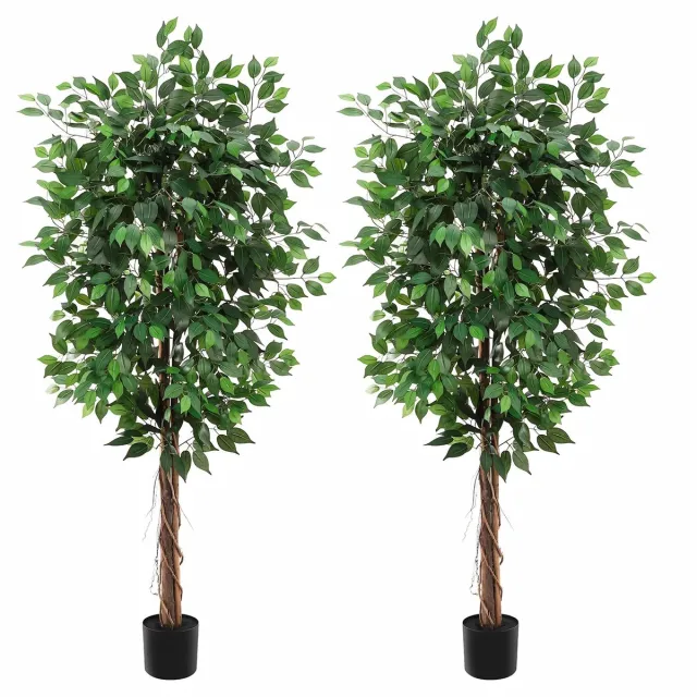 Happiq Set van 2 Kunstficus Bomen - Realistisch design met Houten Stam - voor woonkamer en kantoor - 183cm Groen Zijdeplant - 230 cm