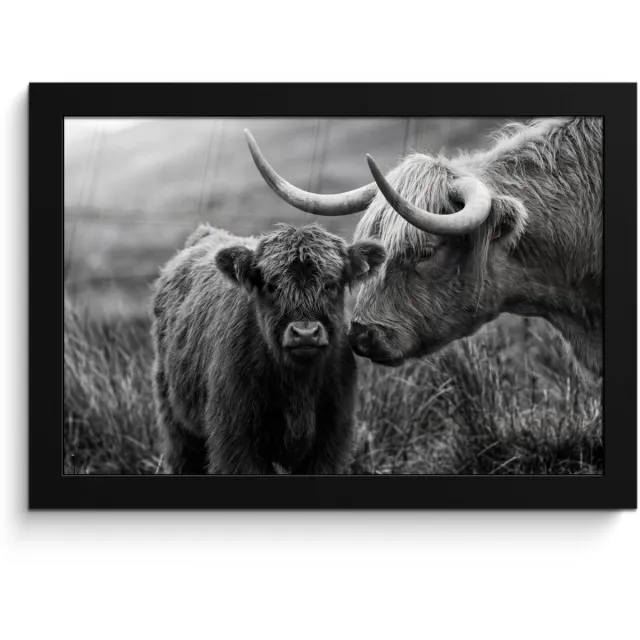 FrameYourWall Poster in lijst - Fotolijst 30x20 cm - Posters - Schotse hooglander - Kalf - Zwart - Wit - Posterlijst zwart - Decoratie - Wanddecoratie woonkamer - Muurdecoratie slaapkamer