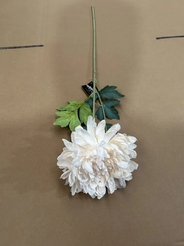 homebound by ky Kunstbloem gedroogde chrysant 64cm creme Beige