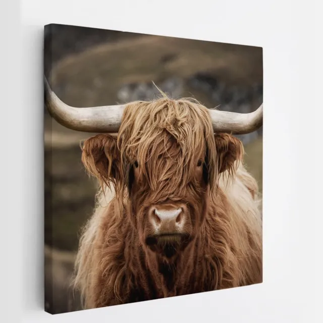 Saammp Canvas Schilderij - Schotse Hooglander Koe tussen de bomen - Winter - Landschap - Dieren - Natuur - 100x100 - Foto op canvas - Wanddecoratie - muurdecoratie Woonkamer - Slaapkamer decoratie - Canvas Print Multicolor