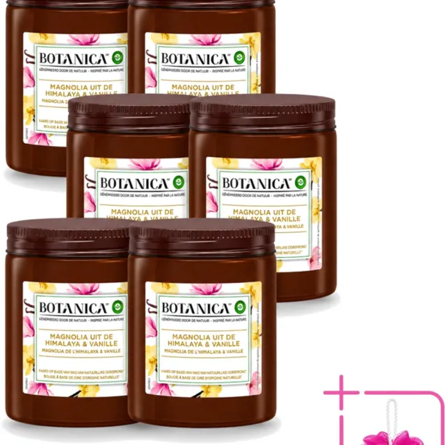 Air Wick 6 x Botanica by Air Wick - Geurkaars - Vanille & Magnolia - 40 Uur Brandduur - Bulkverpakking - Geurkaars - Douchemop - Vanille en magnolia Bruin