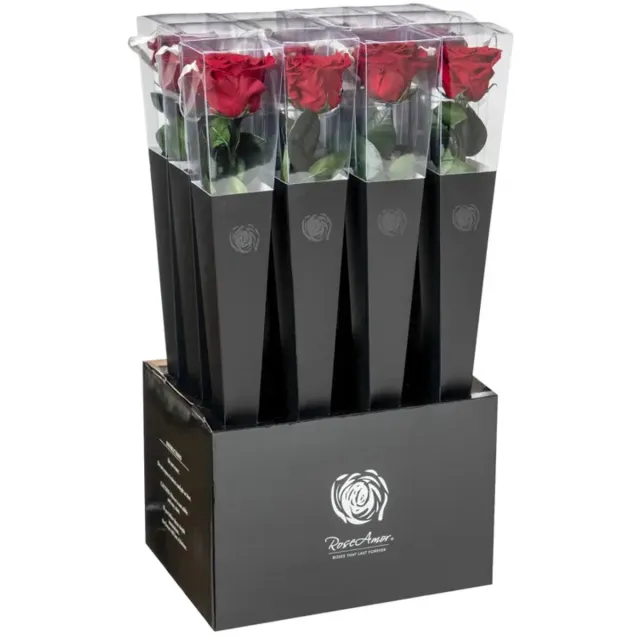 Four seasons four seasens - eeuwige roos - Rose Amor- Longlife echte rozee roos 50cm - doorzichtige cadeau koker - cadeau - liefde cadeau rood