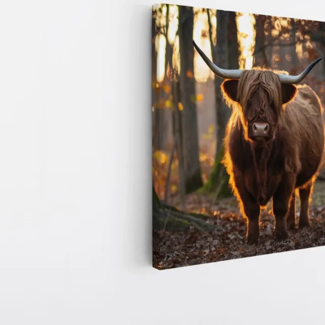 Saammp Canvas Schilderij - Schotse Hooglander Koe in een bos - Dieren - Portret - 100x100 - Foto op canvas - Wanddecoratie - muurdecoratie Woonkamer - Slaapkamer decoratie - Canvas Print Multicolor