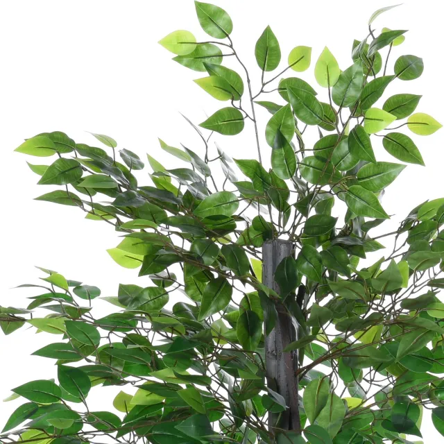 Sunona Kunstmatige banyanboom - Met 756 bladeren en pot - 145 cm hoog - Groen Multi