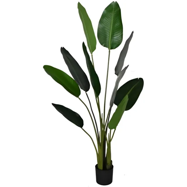 HBX Deco Deco strelitzia d80h150cm groen HBX Deco onbekend