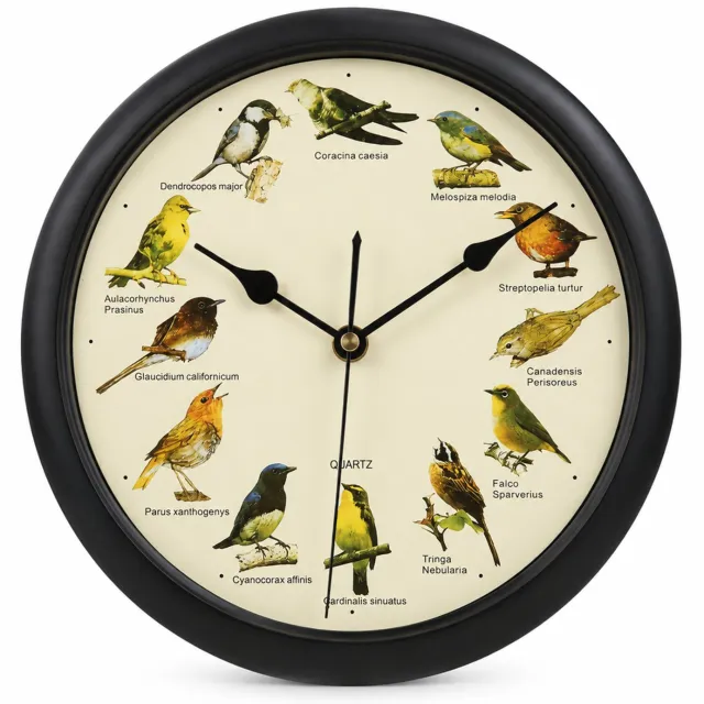 SWGOTA Zwarte ronde wandklok 25 cm - Engelse uitvoering met 12 vogelgeluiden en vogelafbeeldingen - Automatische nachtelijke geluidspauze