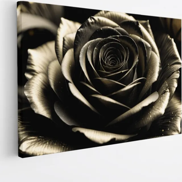 Saammp Canvas Schilderij - Elegante Zwarte Roos - Natuur - Modern - 45x30 - Foto op canvas - Wanddecoratie - Muurdecoratie Woonkamer - Kantoor Decoratie Multicolor