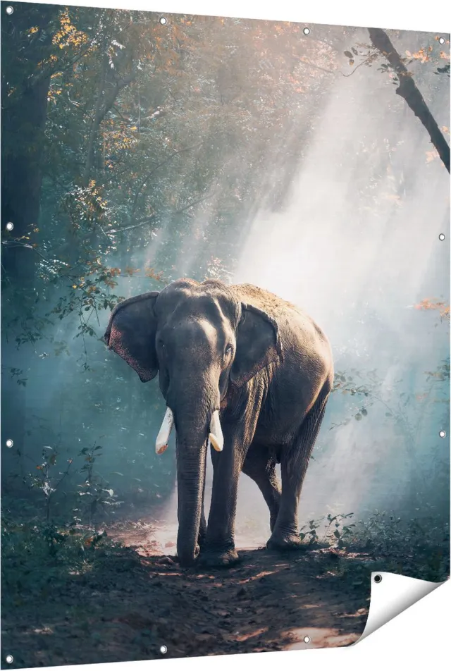 Gards Tuinposter Olifant in het Bos met Zonneschijn - 120x150 cm - Tuindoek - Tuindecoratie - Wanddecoratie buiten - Tuinschilderij Multikleur