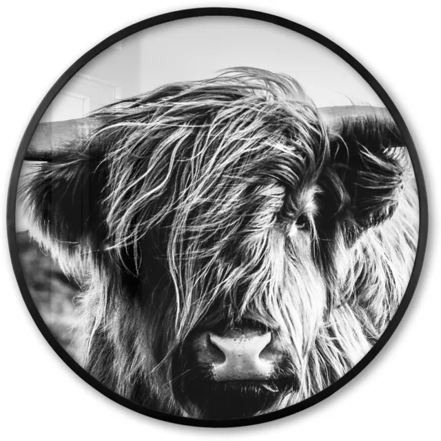 FrameYourWall Poster in lijst Rond - Fotolijst 60x60 cm - Posters - Koe - Schotse hooglander - Zwart - Wit - Dier - Natuur - Wild - Ronde posterlijst zwart - Decoratie - Wanddecoratie woonkamer - Muurdecoratie slaapkamer