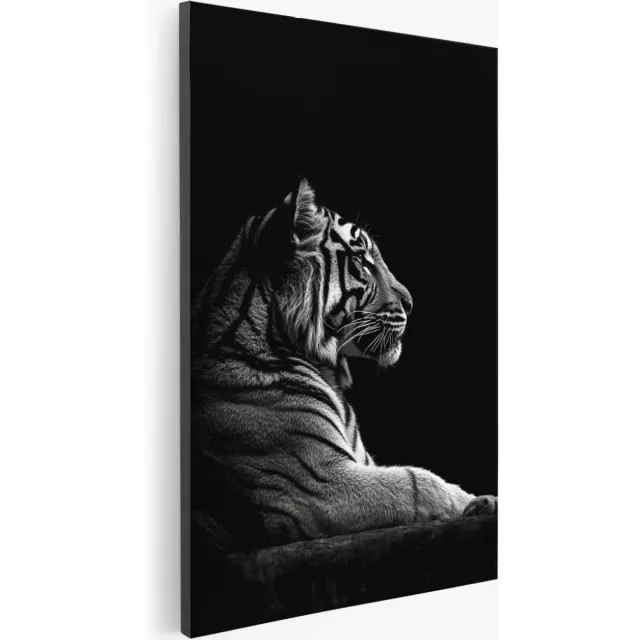 Saammp Canvas Schilderij - Tijger in de schaduw - Natuur - Dieren - 100x150 - Foto op canvas - Wanddecoratie - Muurdecoratie Woonkamer - Slaapkamer decoratie - Canvas Print Multicolor