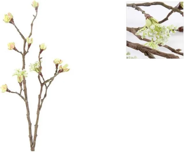 Countryfield Esdoorn fruit tak Quince 55x13cm wit