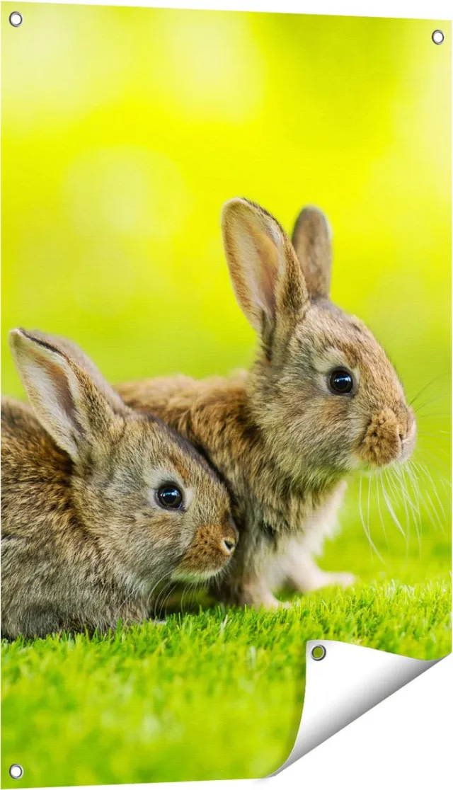 Gards Tuinposter Twee Konijnen op het Groene Gras - 60x90 cm - Tuindoek - Tuindecoratie - Wanddecoratie buiten - Tuinschilderij Multikleur