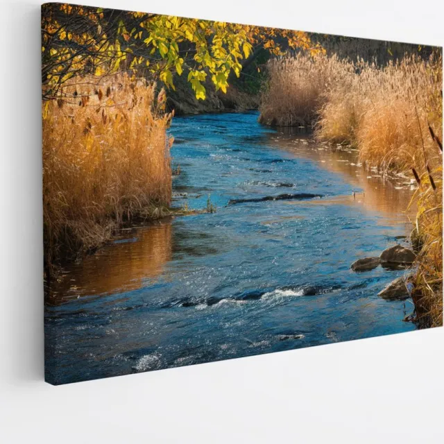 Saammp Canvas Schilderij - Beek - Landschap - Natuur - 30x20 - Foto op canvas - Wanddecoratie - Muurdecoratie Woonkamer - Slaapkamer decoratie - Canvas Print Multicolor
