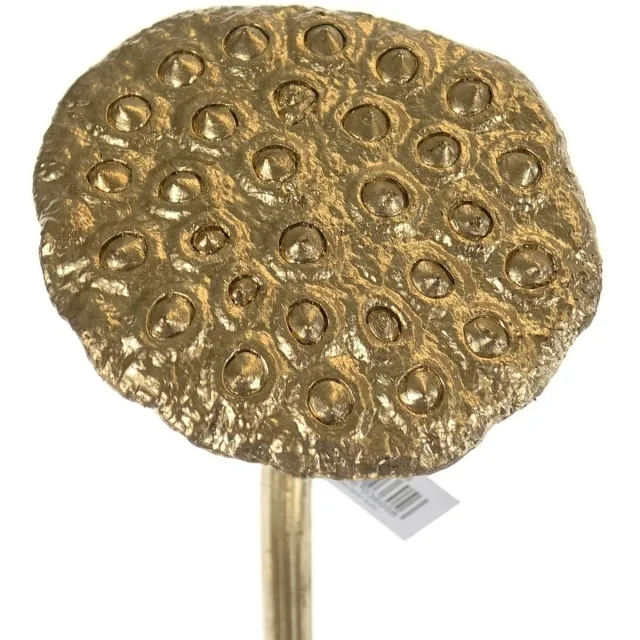 DPI Kerstdeco Lotus Vruchtstand Goudkleurig 75 cm - Kunstbloemen
