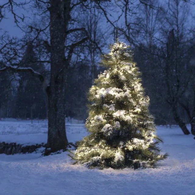 Konstsmide Clusterverlichting voor binnen en buiten - 8 functies - 1152 LEDs – 2100K Amber – 8,6 meter – Kerstverlichting – IP44 – Incl. Transformator