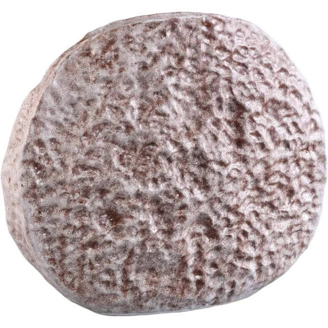 PTMD Daxx Beige Ceramic Oval Vase