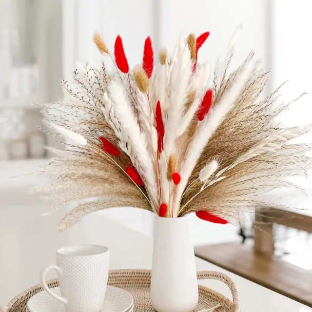 meerklose Gedroogd Pampasgras,Natuurlijke Gedroogde Bloemen Deco DIY Vaas voor Pampas Gras Gedroogd Boeket, Ideaal voor Boho Woonkamer Slaapkamer en Vazen Deco (75 stuks) veelkleurig