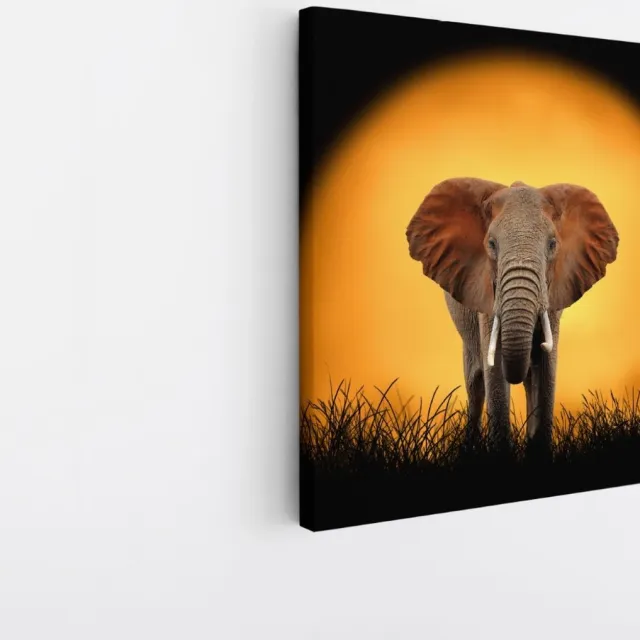 Saammp Canvas Schilderij - Olifant voor de zon - Natuur - Dieren - 100x100 - Foto op canvas - Wanddecoratie - Muurdecoratie Woonkamer - Slaapkamer decoratie - Canvas Print Multicolor