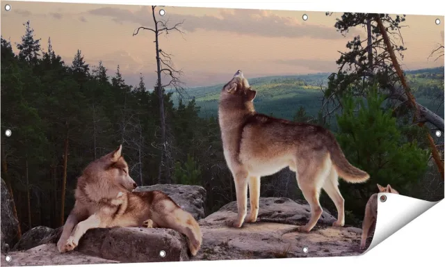 Gards Tuinposter Drie Wolven op een Rots in het Bos - 140x70 cm - Tuindoek - Tuindecoratie - Wanddecoratie buiten - Tuinschilderij Multikleur