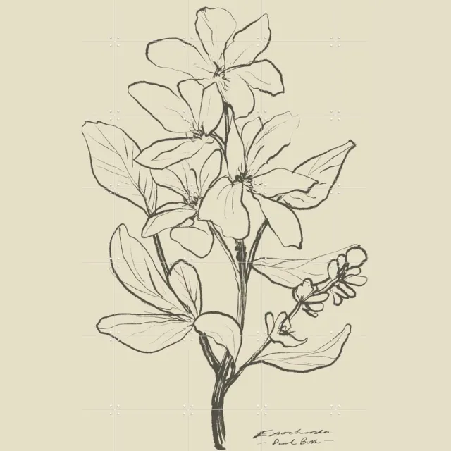 IXXI Floral 1, Dan Hobday & Various - 100 x 140 cm - Grote wanddecoratie en posters - Naturalisme, Minimalisme, Tekeningen, Line art, Illustraties Groen / Zwart / Zwart en wit / Bruin