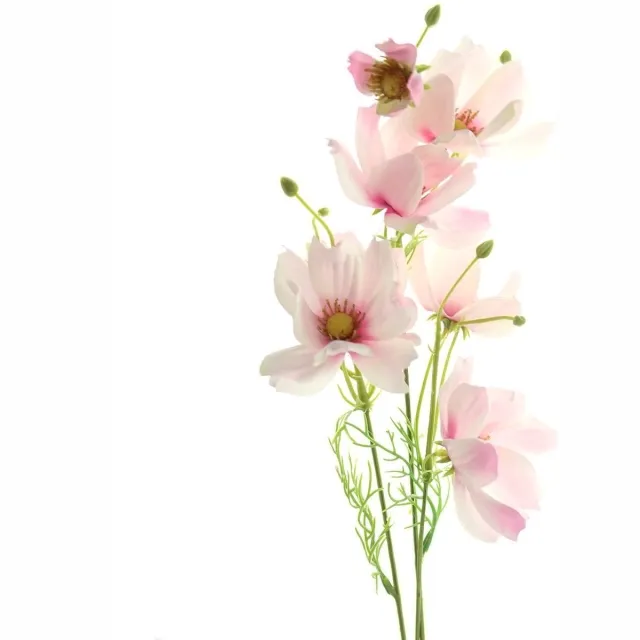 Deko Florale Sperling Deko Florale Cosmea stengel Roze met roze hart 58 cm