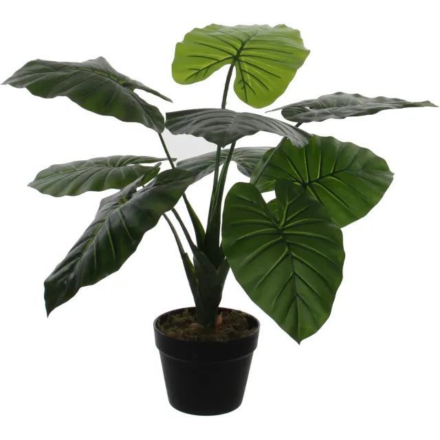 Mica Decorations Groene Colocasia Taro kunstplant 60 cm in zwarte plastic pot - Kunstplanten/nepplanten