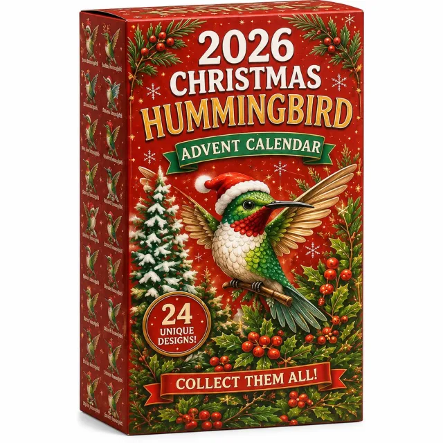 SWGOTA Adventskalender 2026 met kolibri-thema, 26 x 18 x 3 cm, met genummerd klepje en kerstillustraties Rood
