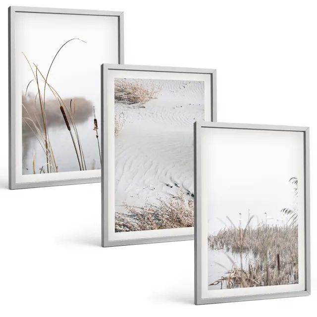Coloray 3-Delige Schilderij Set - Waterplanten, Delicate Zomergezichten - 40 x 60 cm - Muurdecoratie - Decoratieve Schilderijen - Wohnzimmer - Stijlvolle Muurdecoratie Zilveren lijst
