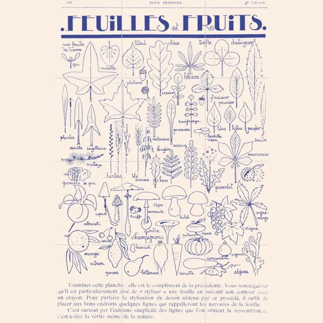 IXXI Feuilles et Fruits, Aster Edition - 60 x 80 cm - Grote wanddecoratie en posters - Vintage, Illustraties, Line art, Woonkamer, Planten, Botanisch Lichte tinten / Blauw