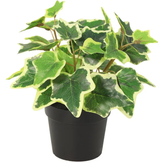 Trendyplants Kunst White Ivy - Witte Klimop - Kunstplant - Hoogte 19cm - Potmaat Ø9cm Groen