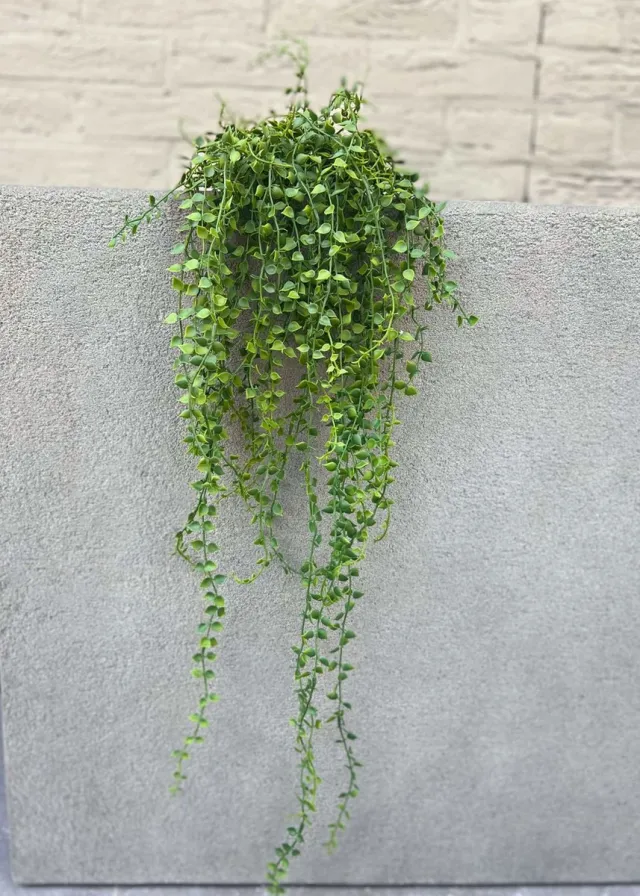 LeopoldFlora Callisia Repens Kunsthangplant - 70 cm - Groen