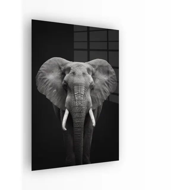 Indoorart Glasschilderij Olifant Zwart Wit 60x90 CM - Afbeelding op plexiglas - Inclusief montagemateriaal