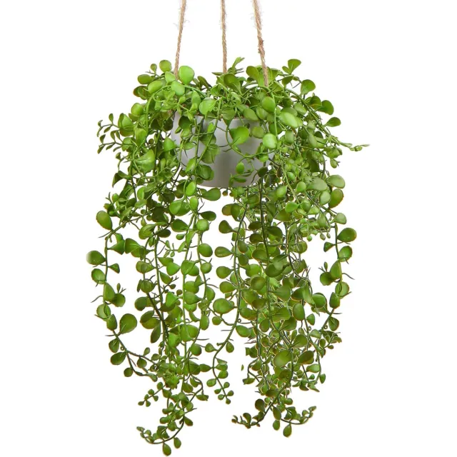 Ibenzoa Kunstplanten voor Binnen- en Buitendecoratie - Realistische Vetplanten van 35,5 cm groen