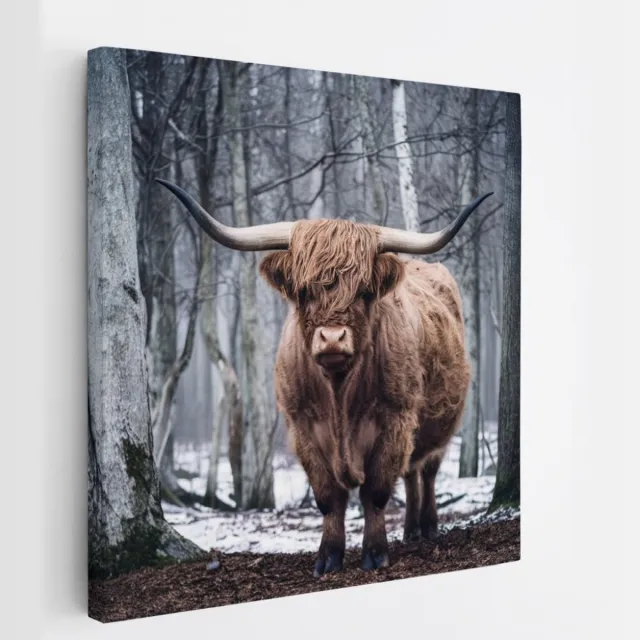 Saammp Canvas Schilderij - Schotse Hooglander Koe - Kunst - Zwart-Wit - Landschap - Dieren - Natuur - 20x20 - Foto op canvas - Wanddecoratie - muurdecoratie Woonkamer - Slaapkamer decoratie - Canvas Print Multicolor