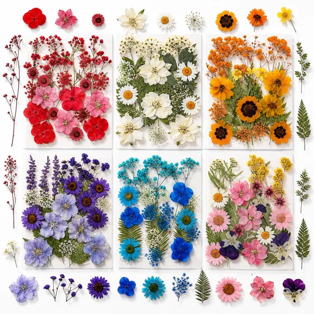 BOTC Natuurlijk Gedroogde Bloemen - Droogbloemen - 103 stuks - Set van 6 stuks - voor Hars sieraden, Scrapbooking, Doe-het-zelf zeep, Kaarsen en nageldecoratie Kleurrijk 3 Paar