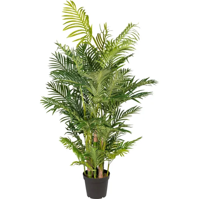 Kopu Kunstplant Arecapalm 170 cm 9 Stammen - Real Touch - Goudpalm Groen