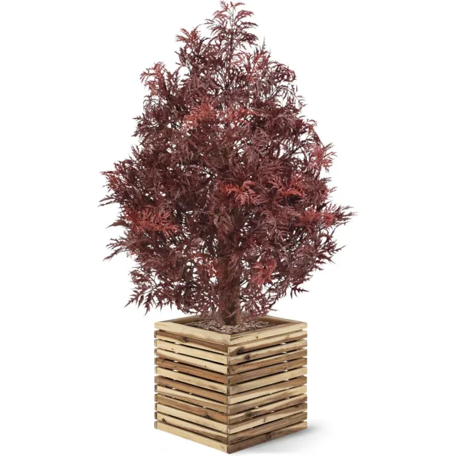 maxifleur Kunstplanten Ming Aralia kunstplant UV 90cm Burgundy Rood