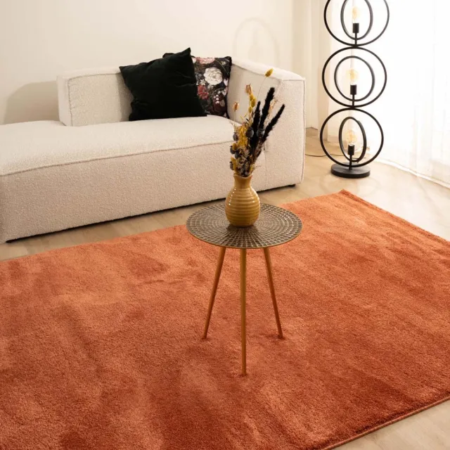 Paon Brillant Velours vloerkleed - Flair terracotta 300x400