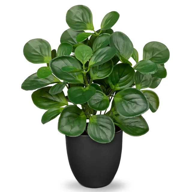 Oairse Kunstplant Peperomia in Pot - 37 cm Kunstmatige Kamerplant met Muntbladeren - Tafel & Bureau Decoratie Groen