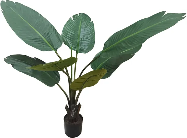 Pole to Pole Travellers Palm Tree 90cm Green